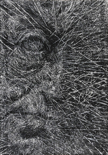 Wieslaw Haladaj