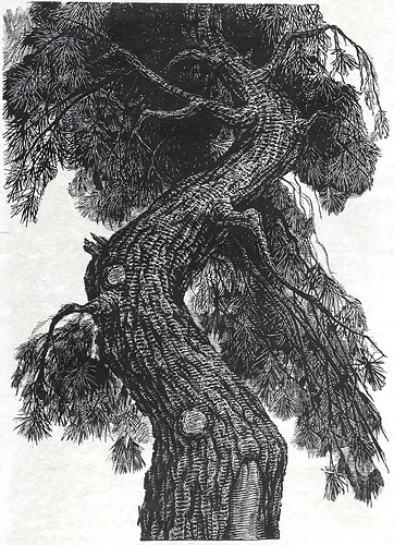 Theodora Chandrinou